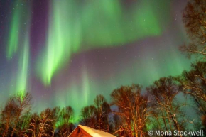 Susitna River Lodging, Suites